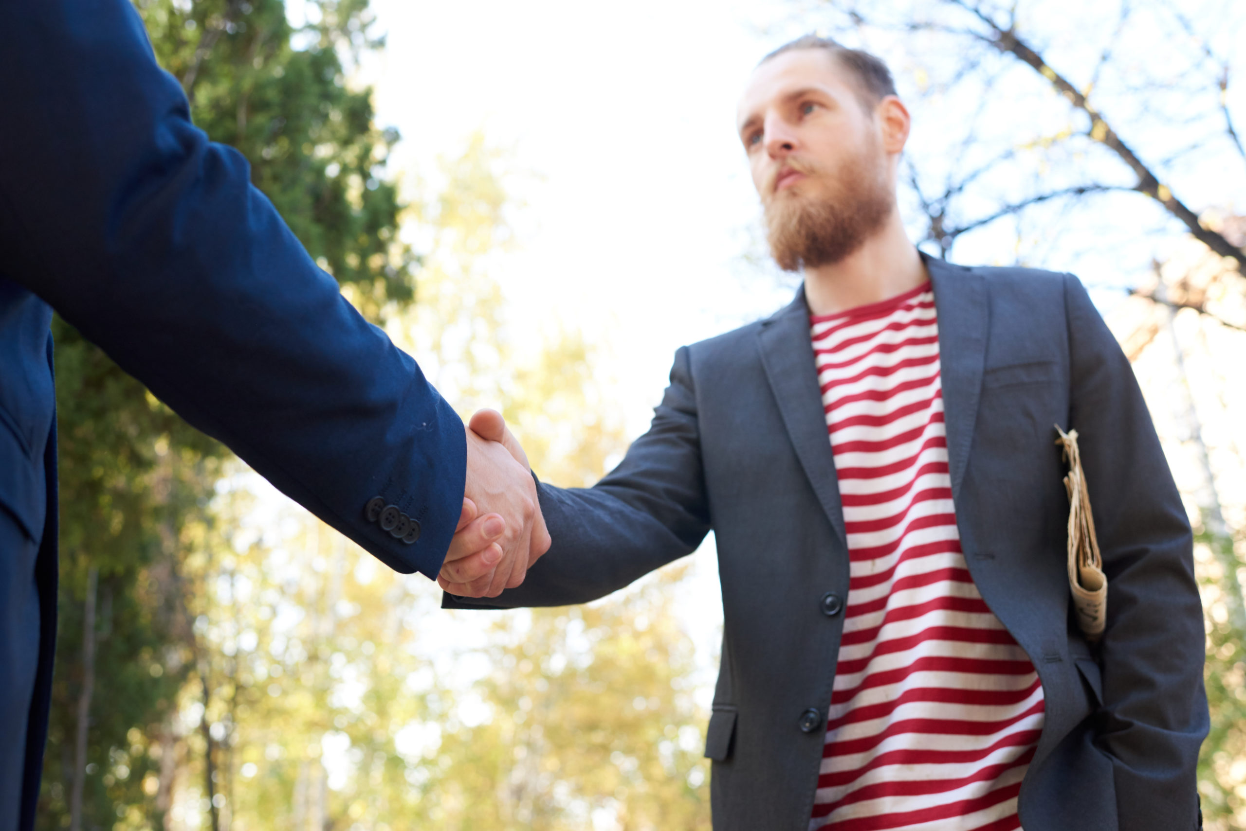 Handsome Businessman Shaking Hands with Partner
